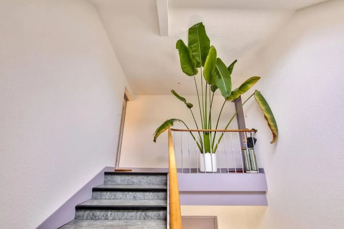 Bright Duplex St Mathieu - Rooftop View Quimper
